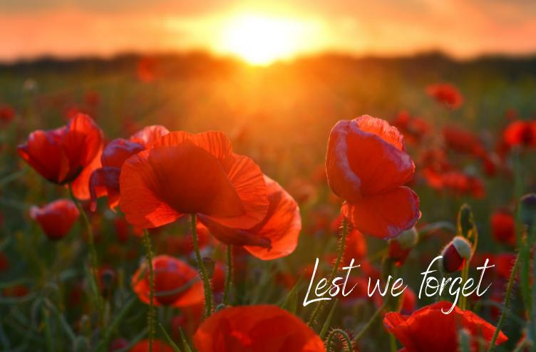 Read more about the article Dentistry During WW1 – Lest we Forget